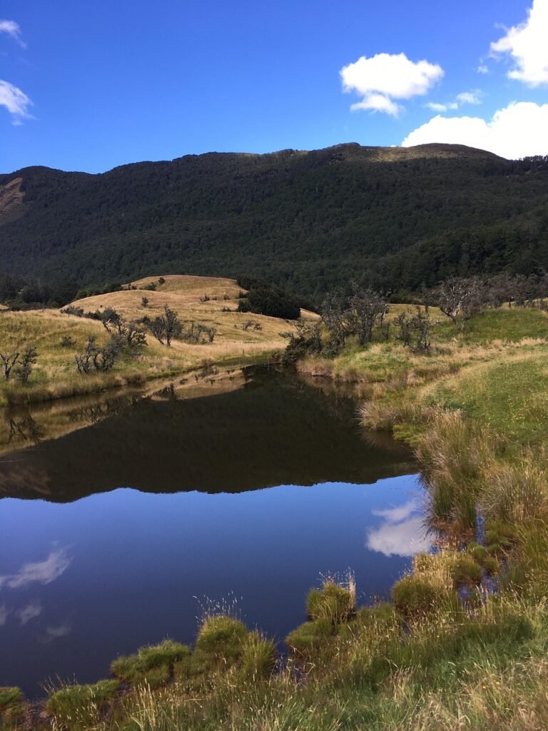 सांस्कृतिक प्रतीक के रूप में लॉर्ड: साहित्य सिनेमा और गेमिंग